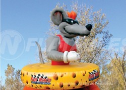 Rat Race Figure-8 Obstacle Course