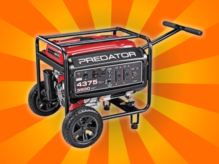 Equipment Rentals